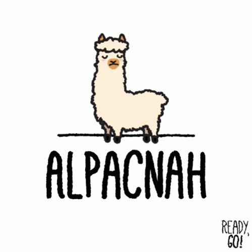 Cute Alpaca Nah GIF