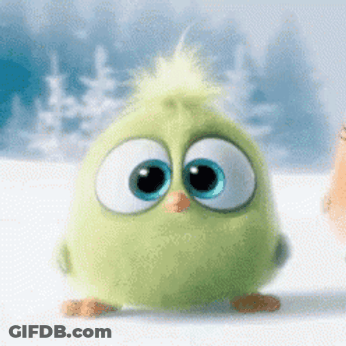 Cute Angry Bird Looks Up GIF