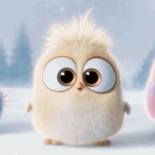 Cute Angry Birds White Snow GIF