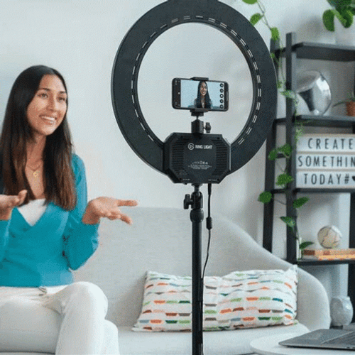 Cute Animal Why Webcam GIF