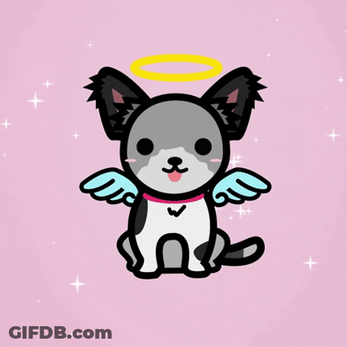 Cute Animated Angel Doc In Heaven GIF