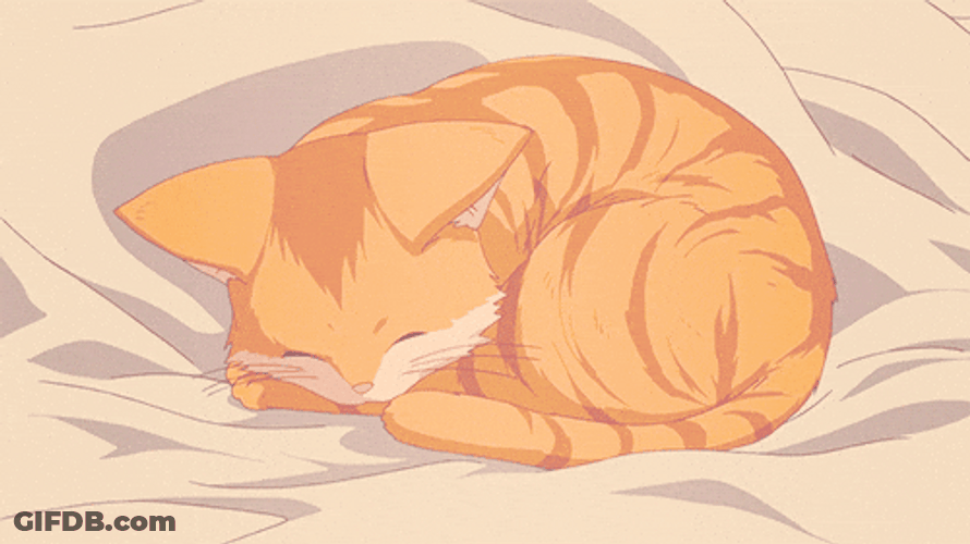 Cute Animated Cat Sleeping GIF