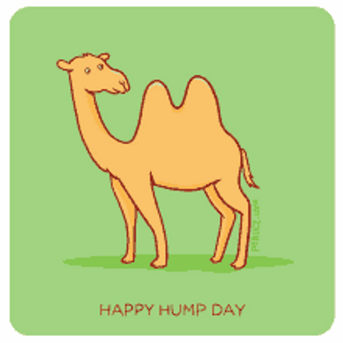 Cute Animated Happy Hump Day Camel GIF