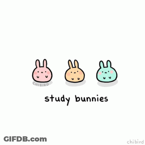 Cute Animated Study Bunnies Motivation GIF