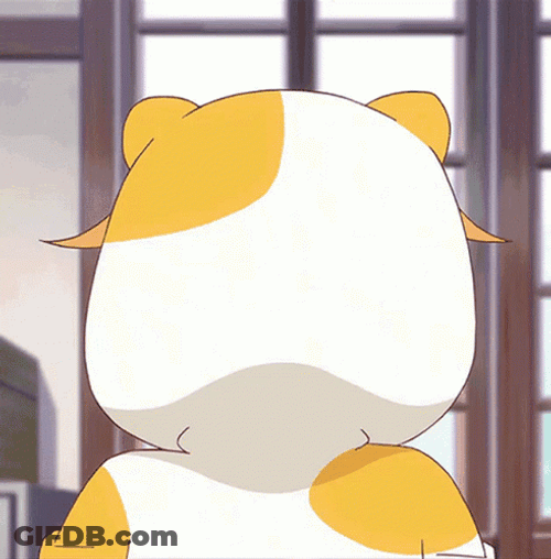 Cute Anime Mao Cat GIF