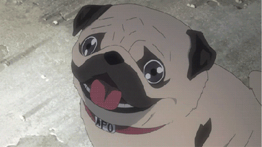 Cute Anime Pug Dog GIF