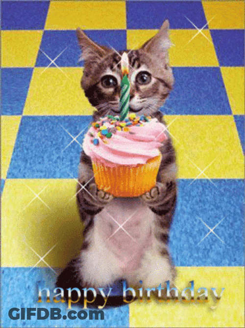 Cute Baby Cat Birthday Cupcake GIF