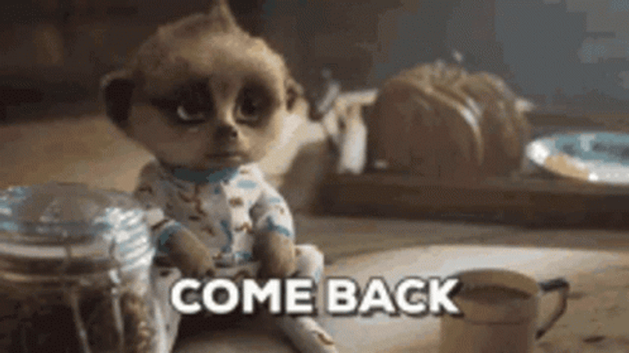 Cute Baby Meerkat Come Back GIF