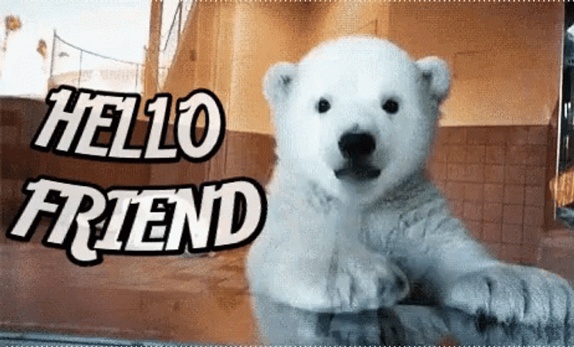 Cute Baby Polar Bear Waving Hello Friend GIF