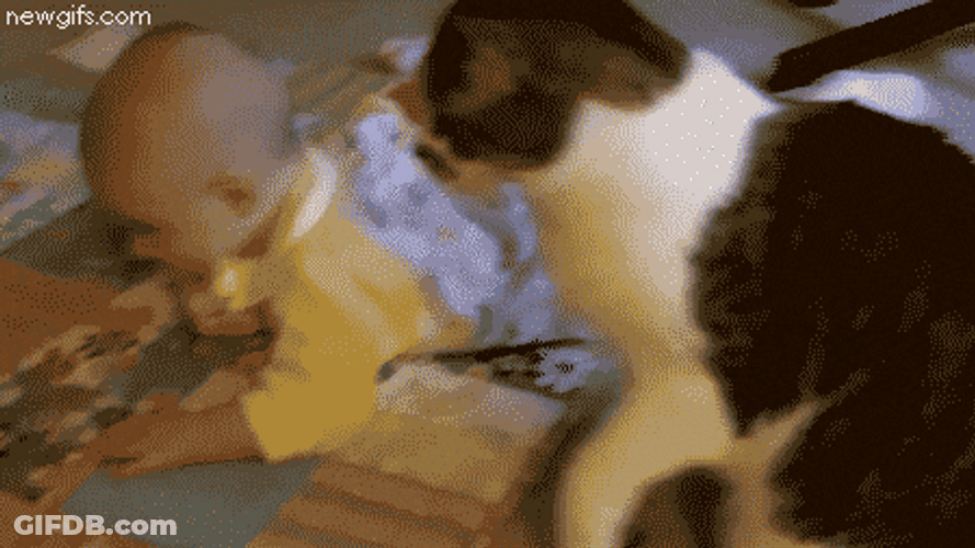 Cute Baby Rolling Cat Cuddle GIF