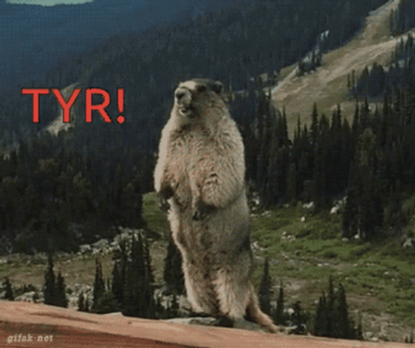 Cute Beaver Frustrated Stomping Foot TYR GIF