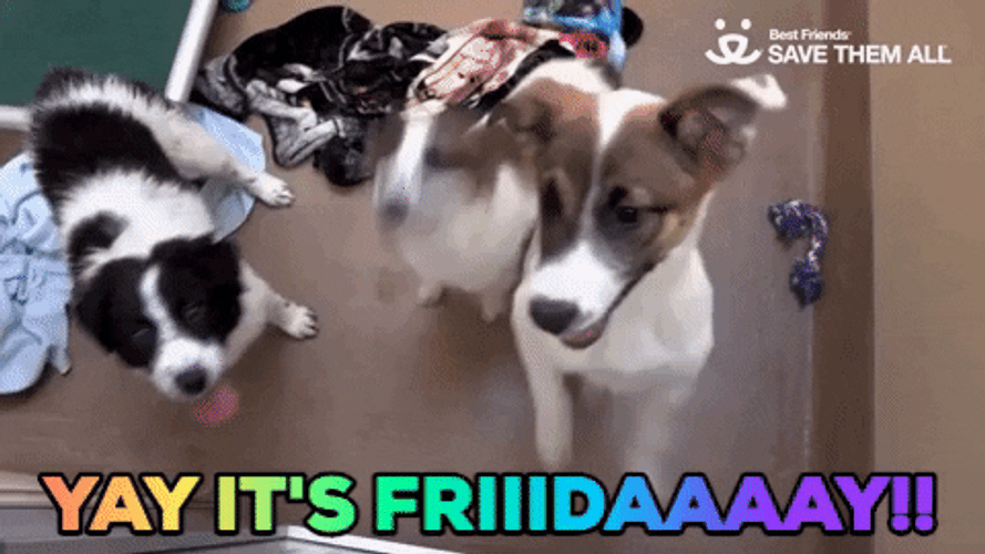 Cute Best Friend Friday GIF