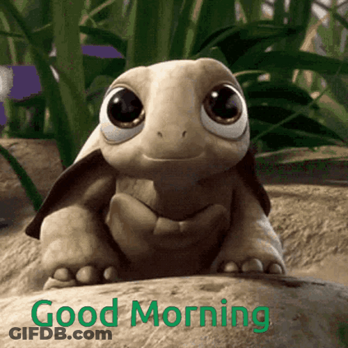 Cute Big Eyed Turtle Good Morning Cartoon GIF