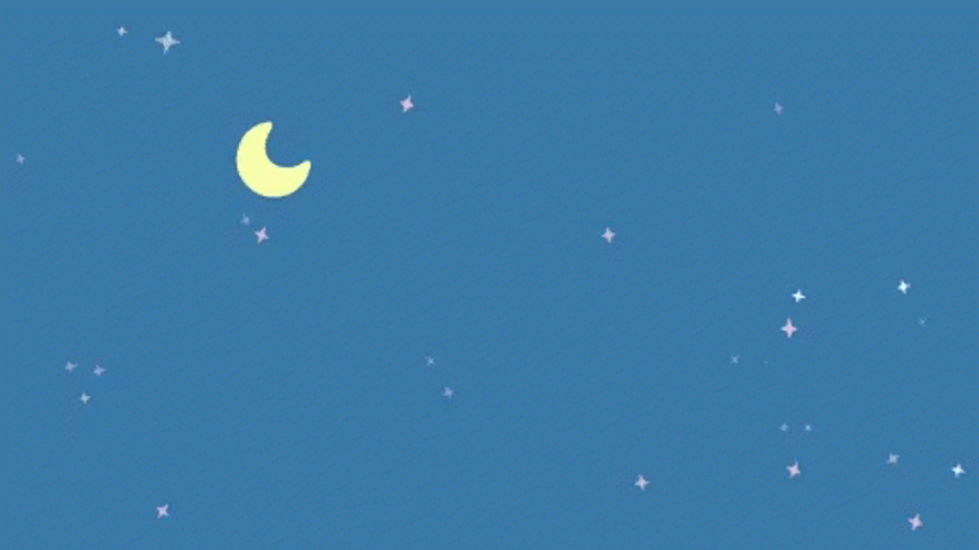 Cute Bird Sees Shooting Star GIF