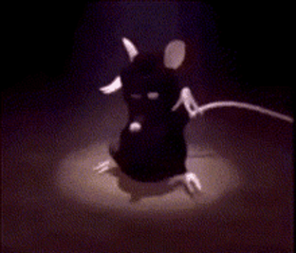 Cute Black Cat Dancing GIF