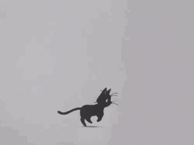Cute Black Cat Running GIF