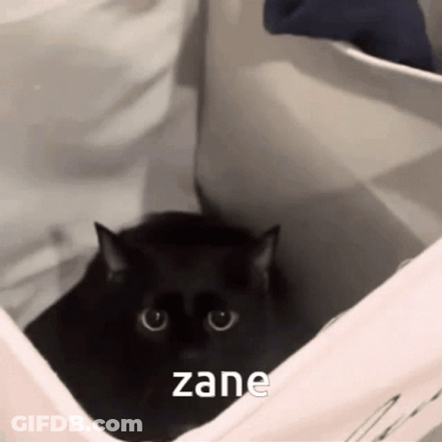 Cute Black Cat Zane Aphmau GIF