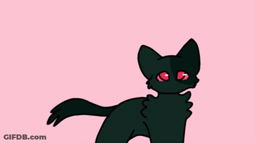 Cute Black Warrior Cats GIF