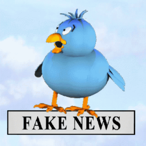 Cute Blue Bird Fake News GIF