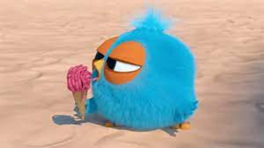 Cute Blue Bird Jaw Drop GIF