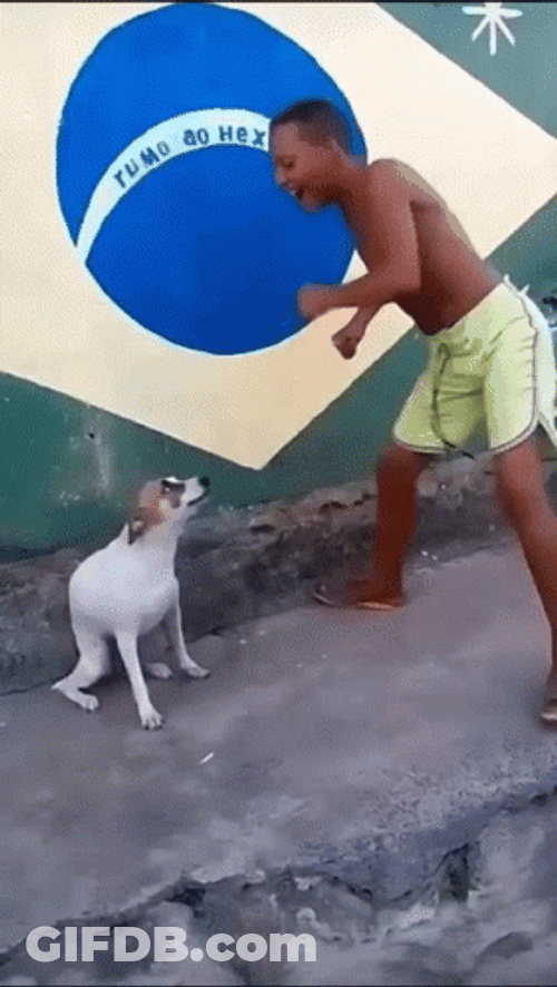 Cute Boy Dog Dancing Meme GIF