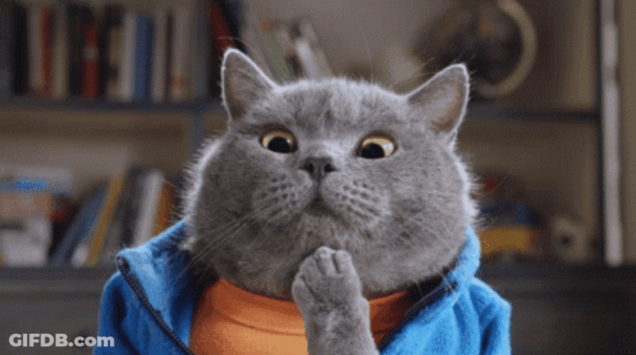Cute British Shorthair Cat Overthinking Deeply GIF