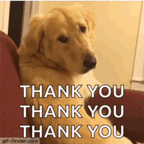Cute Brown Dog Flipping Head Thank You So Much GIF