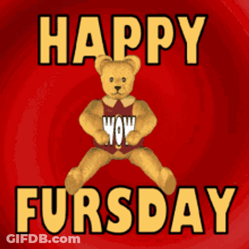 Cute Brown Teddy Bear Funny Thursday Greeting GIF