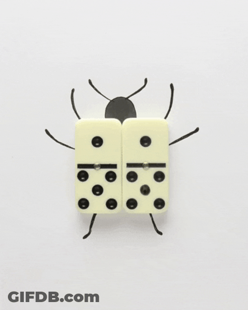 Cute Bug Wiggling Domino Wings GIF