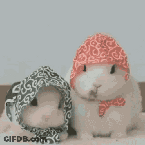 Cute Bunnies Eating With Headdress GIF