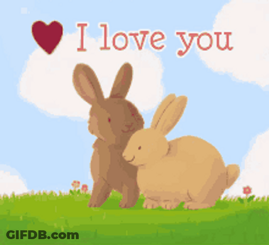 Cute Bunny Couple I Love You GIF