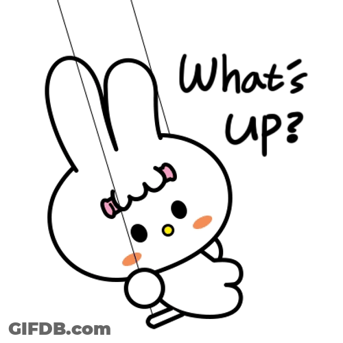 Cute Bunny In Swing Whats Going On GIF