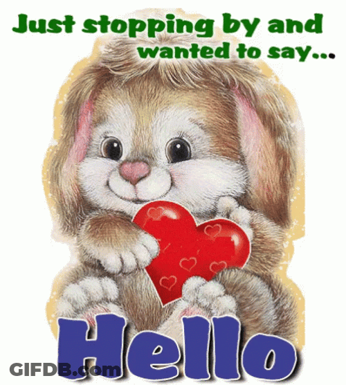 Cute Bunny Just Saying Hi And Hello GIF