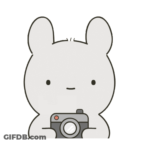 Cute Bunny Snapping Picture GIF
