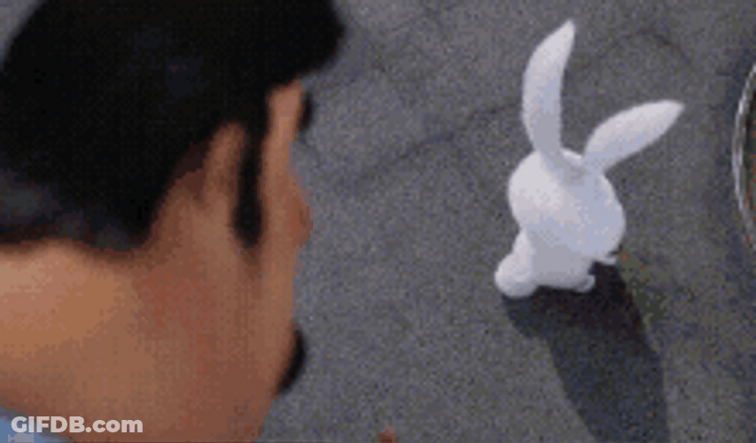 Cute Bunny Snowball Life Of Pets Attacking Human GIF