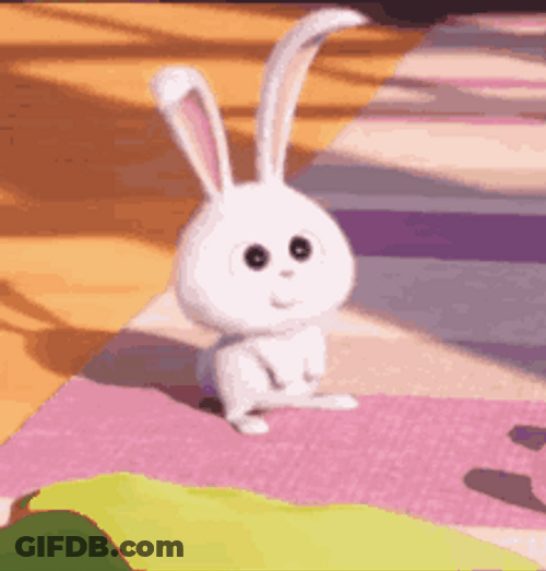 Cute Bunny Snowball Life Of Pets Getting Sunlight GIF