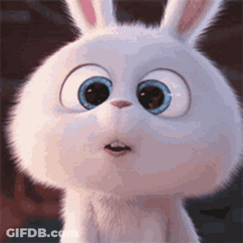 Cute Bunny Snowball Secret Life Of Pets Amazed GIF