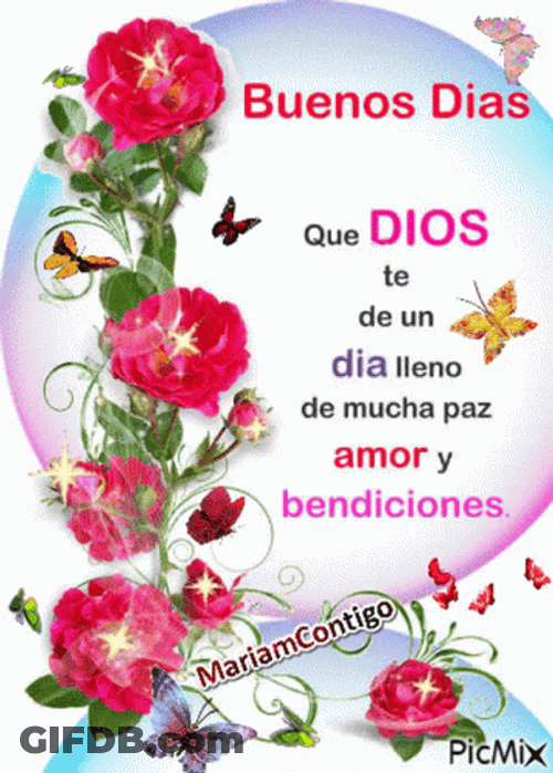 Cute Butterflies Bendecido Dia GIF