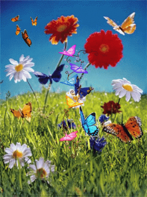 Cute Butterfly Garden Of Flowers GIF
