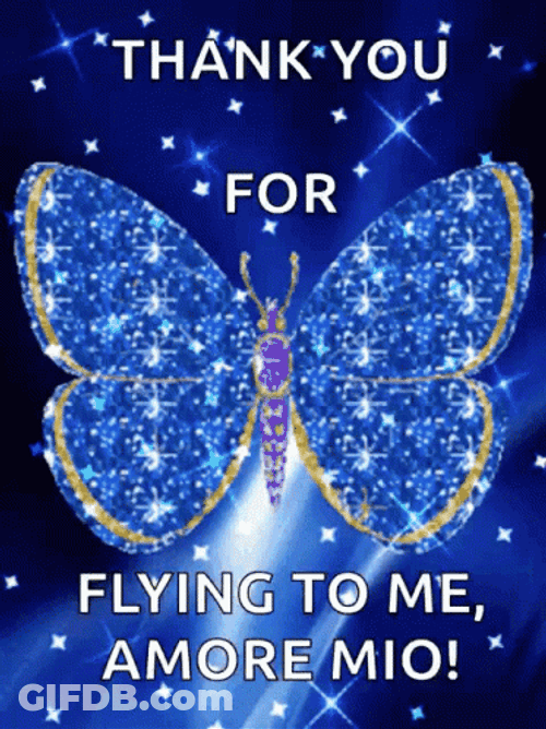 Cute Butterfly Thank You GIF