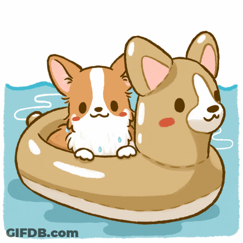 Cute Cartoon Corgi In Pool GIF