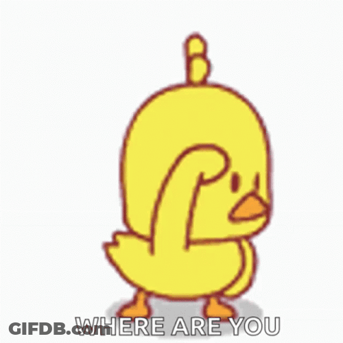 Cute Cartoon Duckling Searching Around GIF