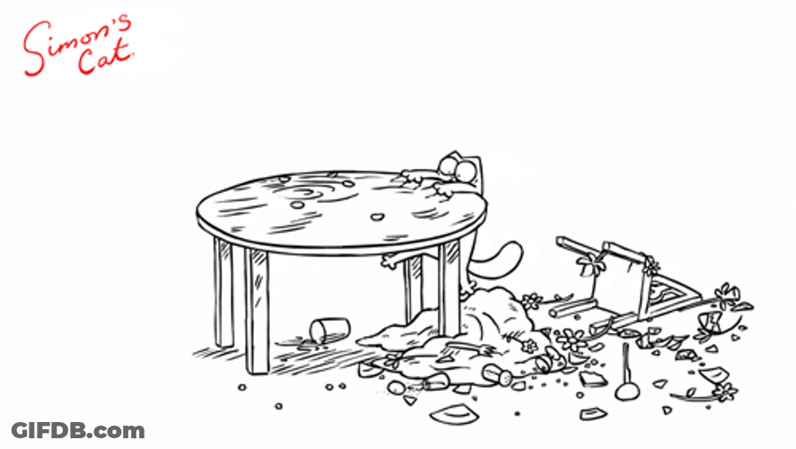 Cute Cat Animated Climb In The Table GIF