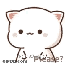 Cute Cat Asking If It Is So GIF