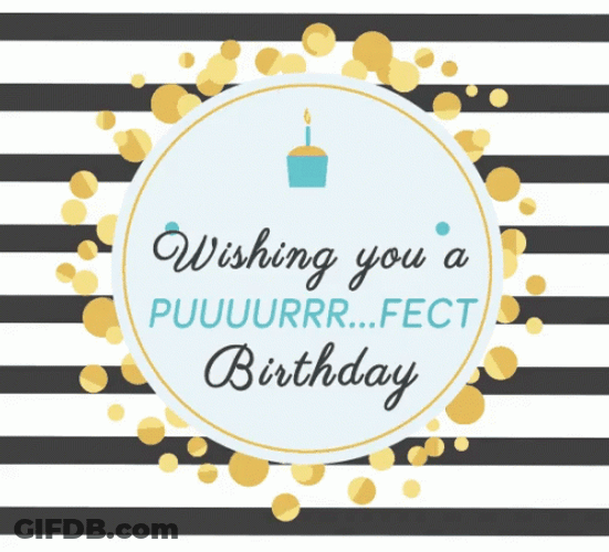 Cute Cat Birthday Message Text Design GIF