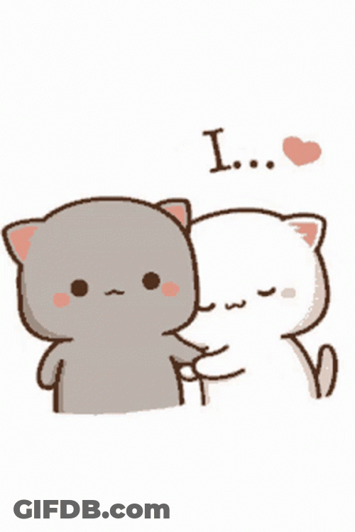 Cute Cat Bite Couple GIF