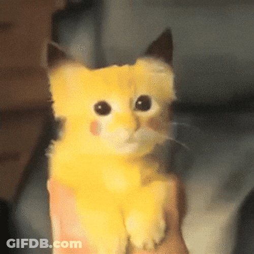Cute Cat But Lightning Pikachu GIF