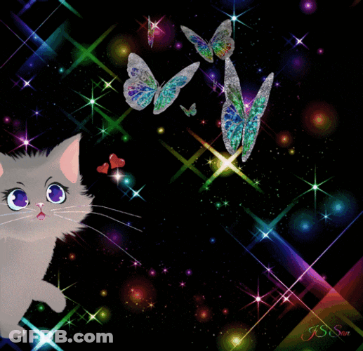 Cute Cat Butterflies GIF