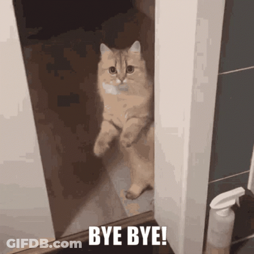 Cute Cat Bye Meme GIF