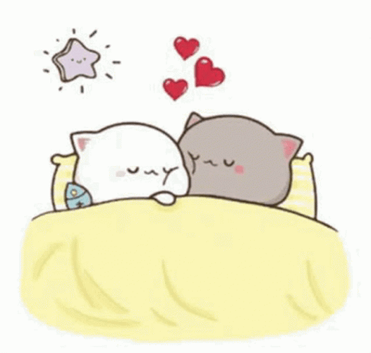 Cute Cat Cuddle In Bed GIF